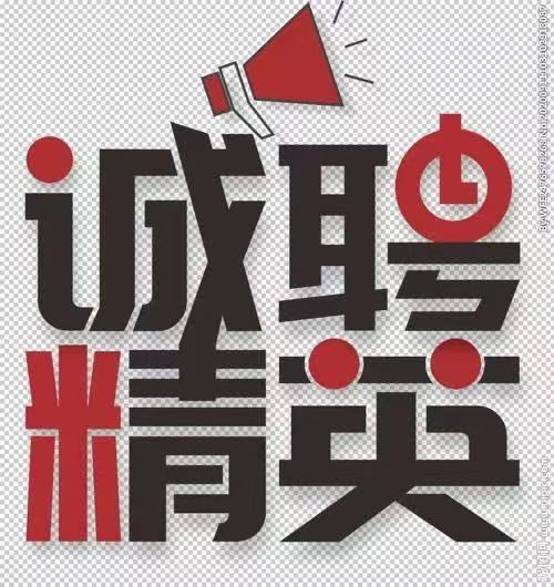 安徽新南港汽车智能安全零部件有限公司
